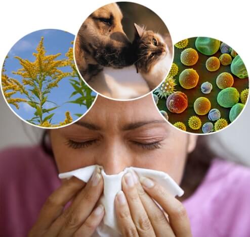 Allergy Treatment